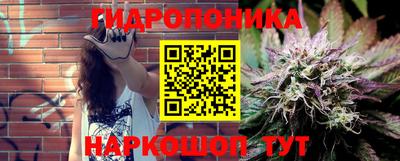 шишки Кинель