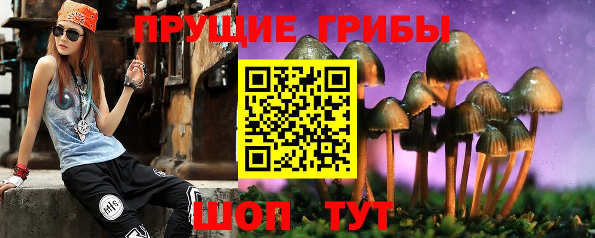 Псилоцибиновые грибы прущие грибы Димитровград